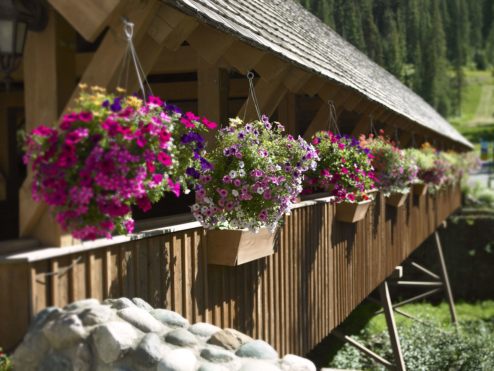 Sundance Lodge Sun Peaks Bagian luar foto